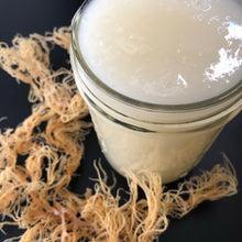 Load image into Gallery viewer, Caribbean Sea Moss
