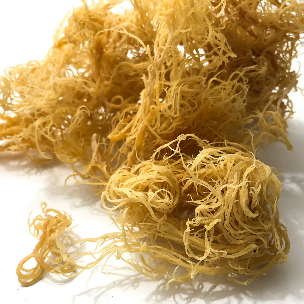 Raw Sun-dried Caribbean Sea Moss