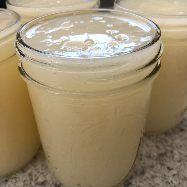 How to make delicious Caribbean Sea Moss gel