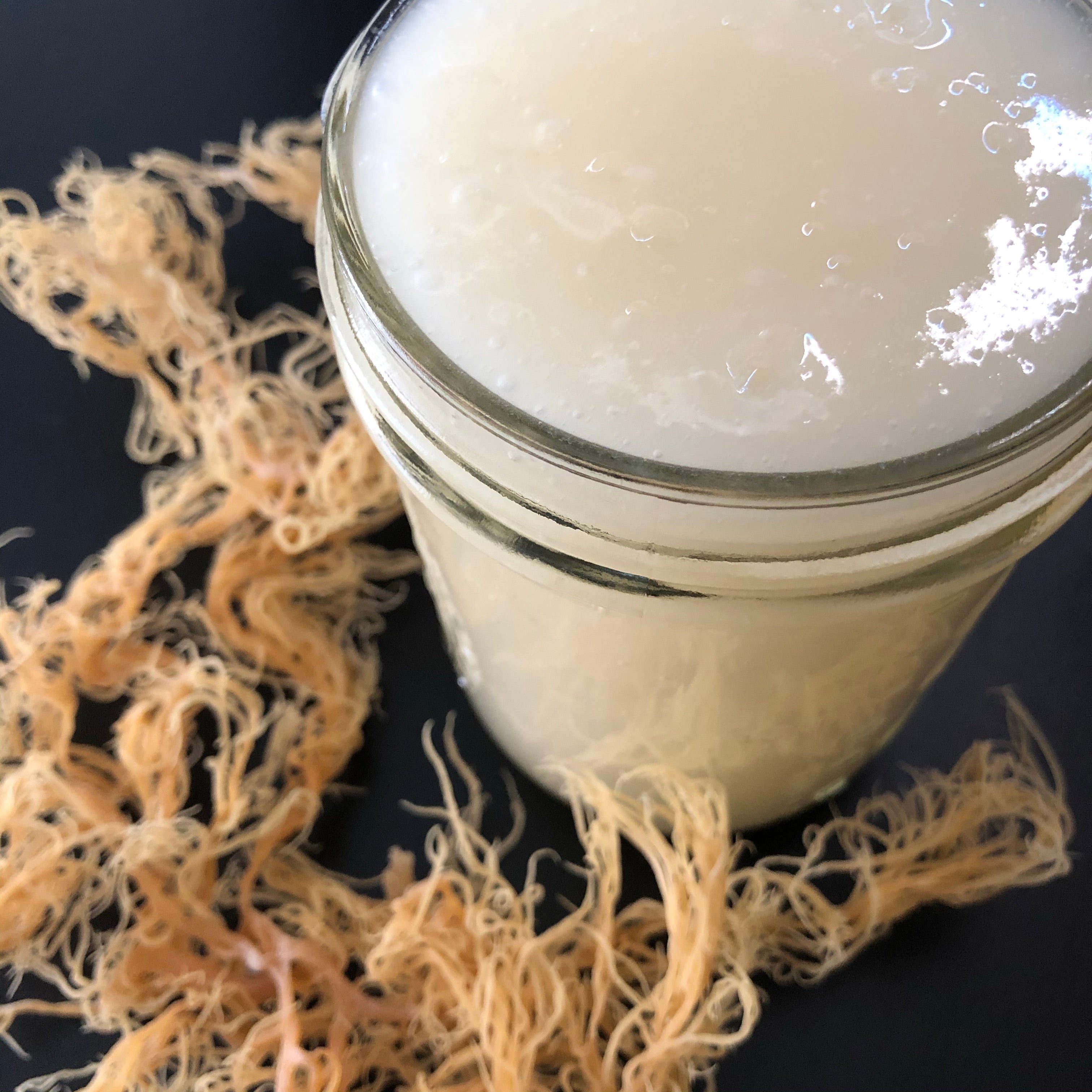 Caribbean Sea Moss